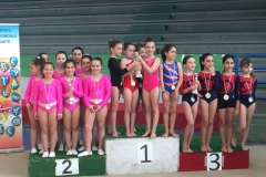 Gara Ginnastica Artistica 2019